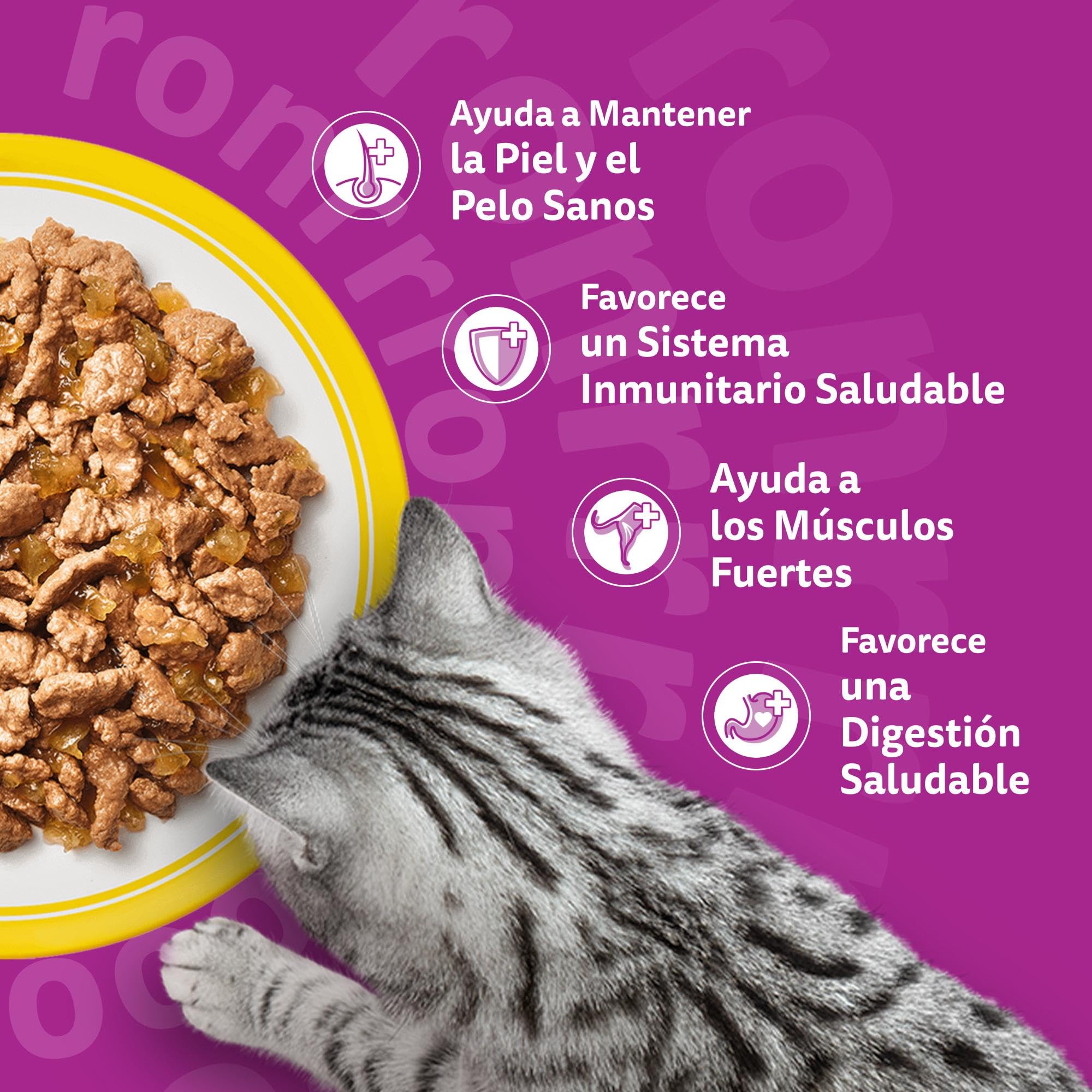 WHISKAS Comida húmeda en gelatina Gatos Adultos Selección de Aves - 4 x 12 bolsitas x 85g