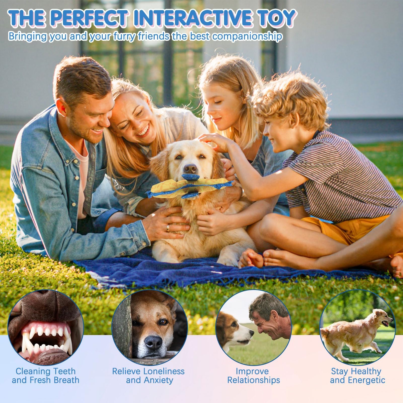BINGPET Lot de 2 jouets flottants pour chien, jouets interactifs robustes en tissu Oxford durable pour piscine en plein air, jouets à mâcher mignons en forme d'hippocampe pour chiens de petite,