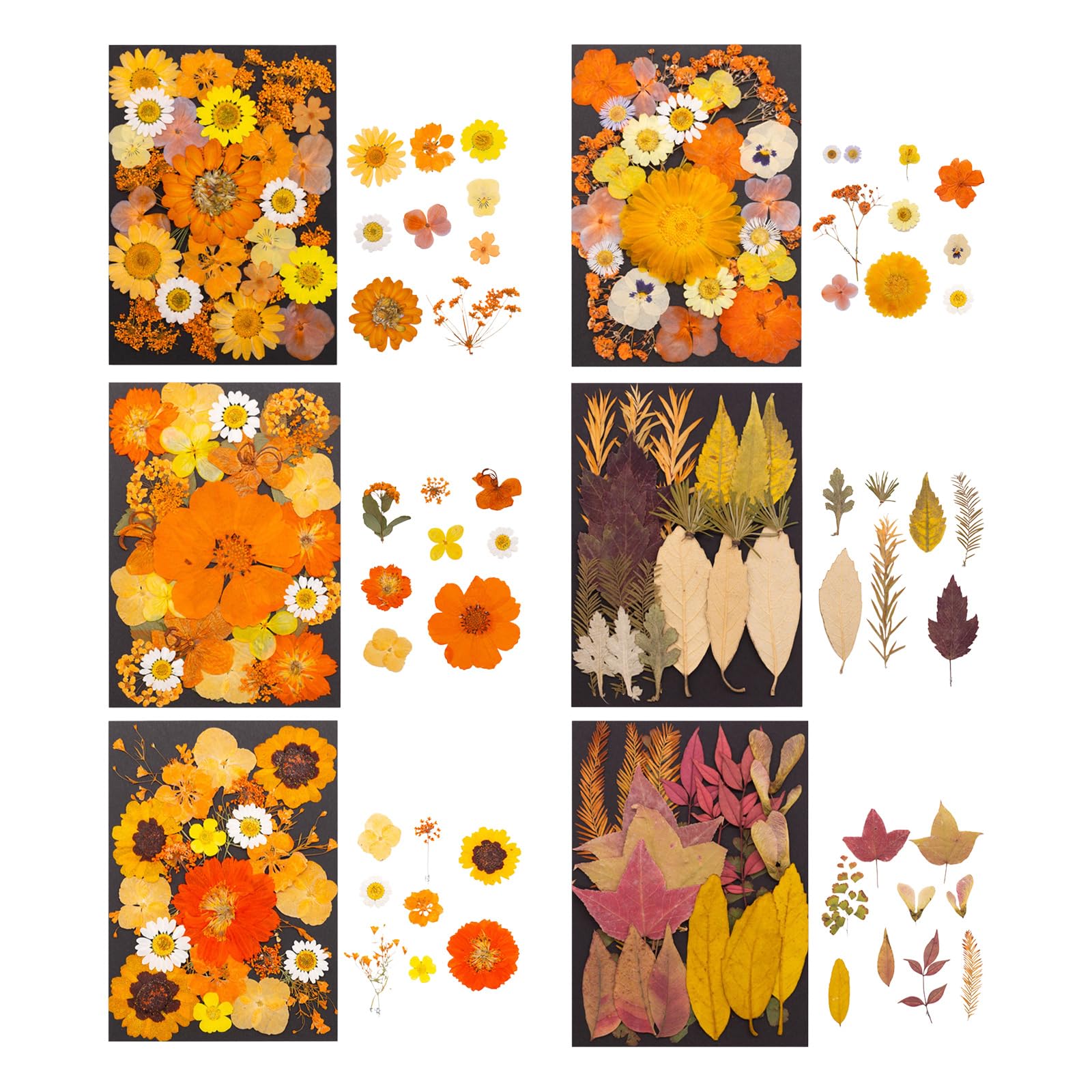 Kalttoy Natural Pressed Dried Flower Leaves Set for Making Resin Art Craft Bookmarks Jewelry Crafting Scrapbooking Pressed Flower Supplies