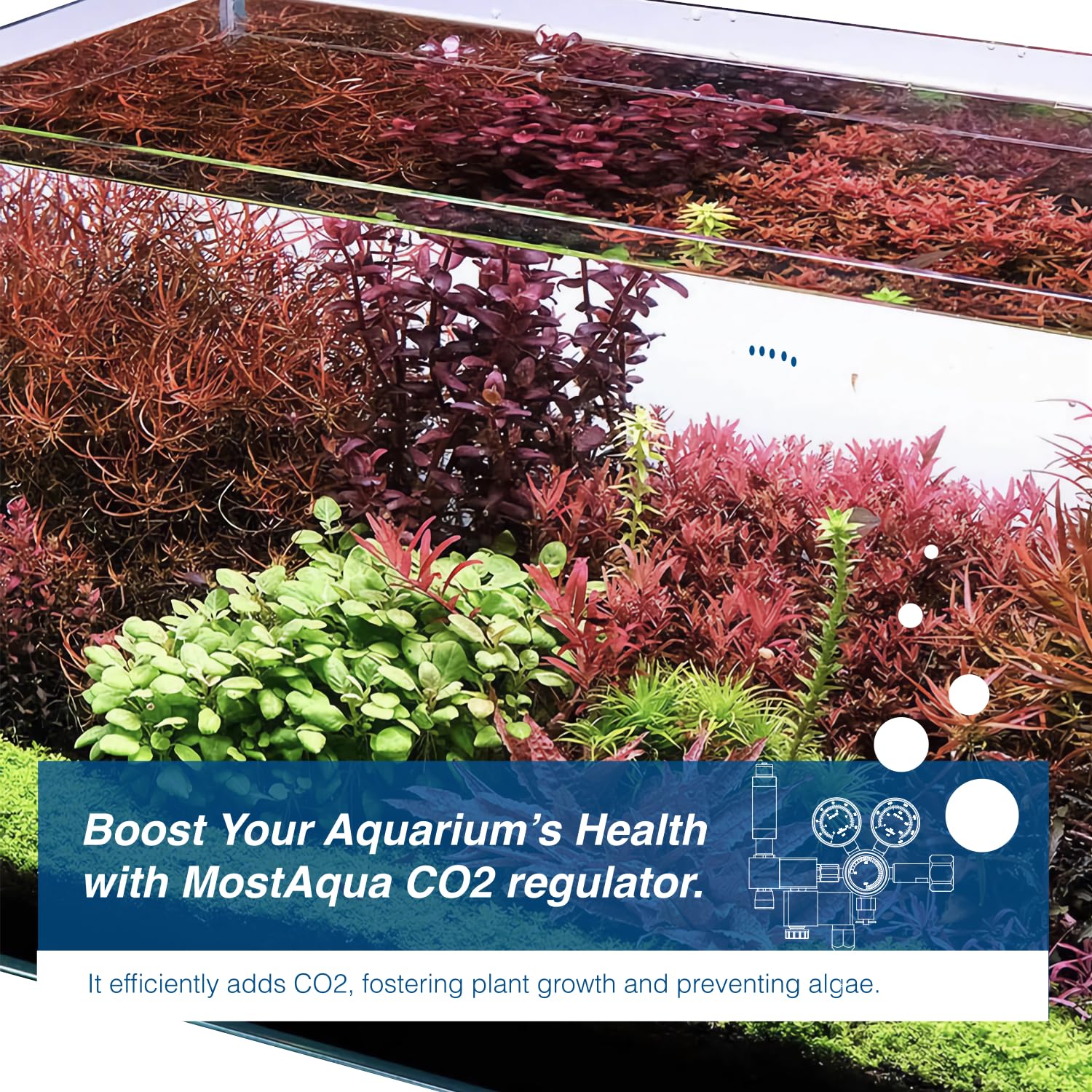 Regulador de CO2 de doble etapa para acuario, serie Pro-Master, kit de sistema de CO2 para plantas de acuario, contador de burbujas integrado y presión de salida ajustable