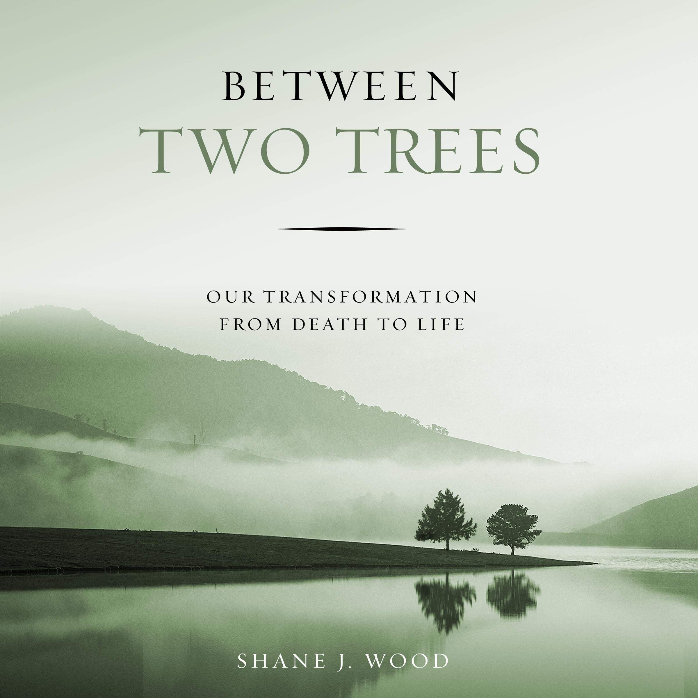 Cover art for Between Two Trees: Our Transformation from Death to Life