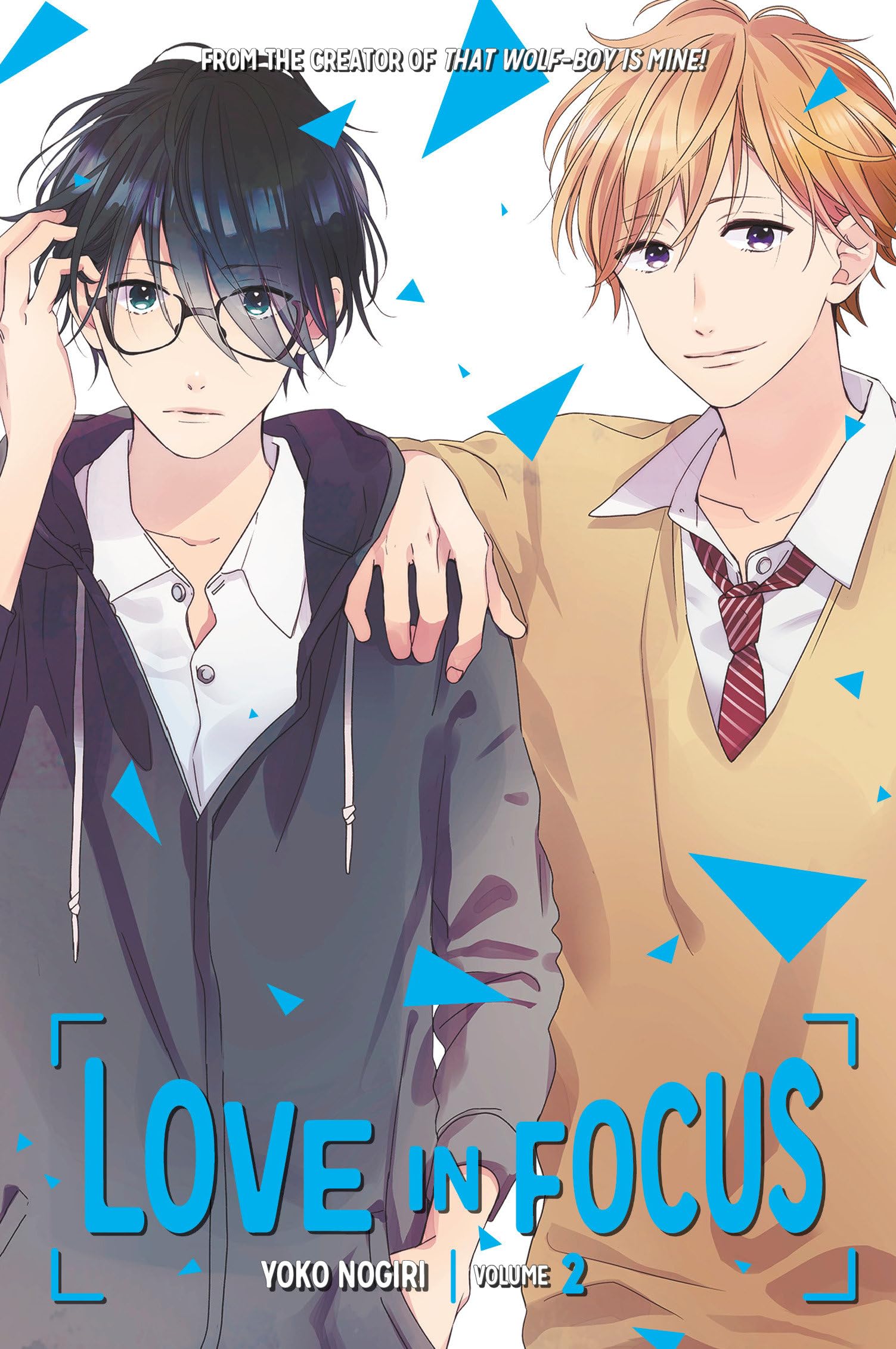 Love in Focus 2 (LOVE IN FOCUS GN)