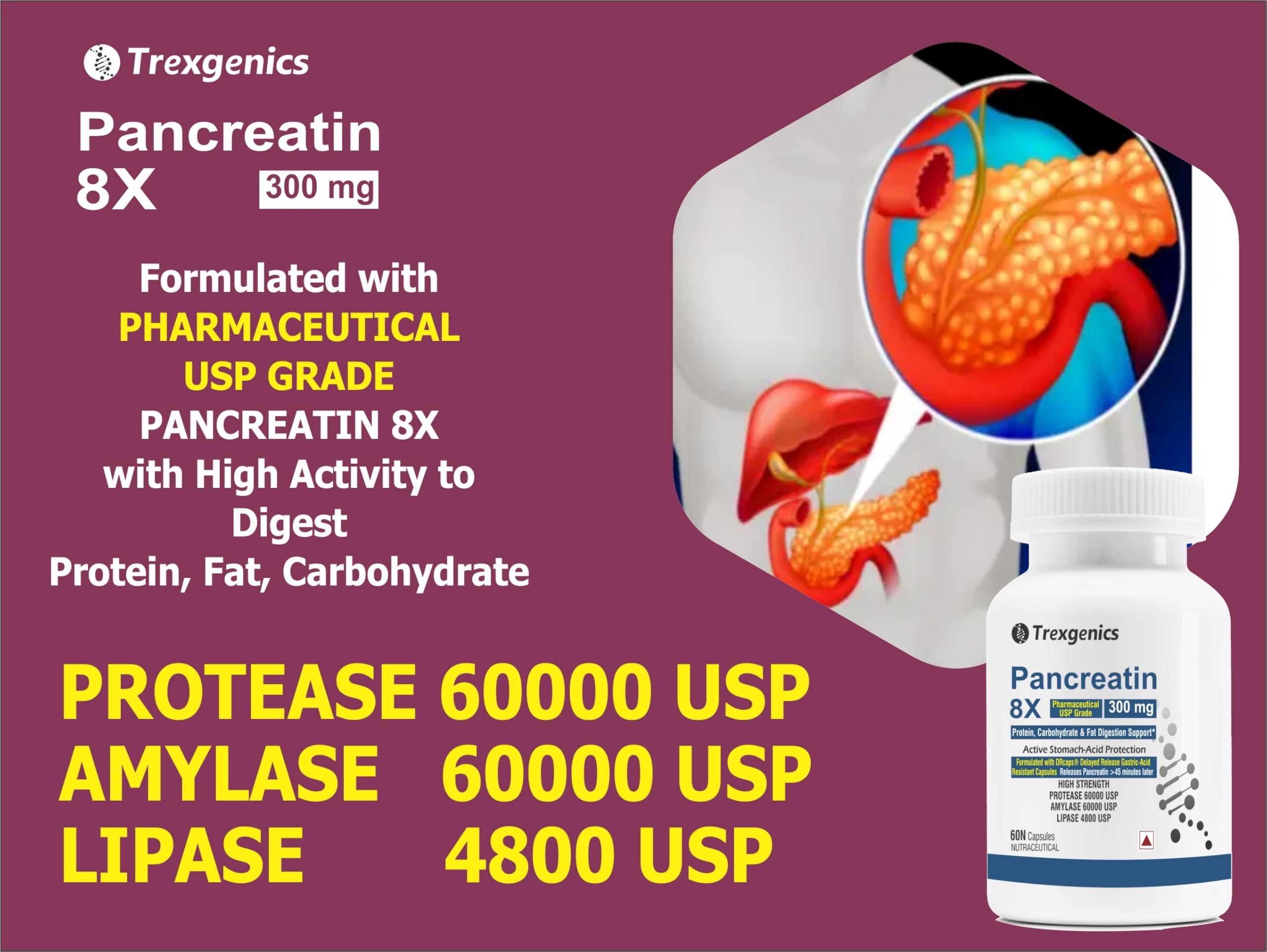 Trexgenics PANCREATIN 300 mg 8X Pharmaceutical Grade Stomach Acid Protected Protease 60000 USP, Amylase 60000 USP, 4800 USP Lipase Digestive Health Support (60 DRcaps) — Amazon image 4