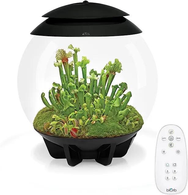 biOrb AIR 30 Terrarium schwarz - Automatische Pflanzenpflege für exotische Pflanzen