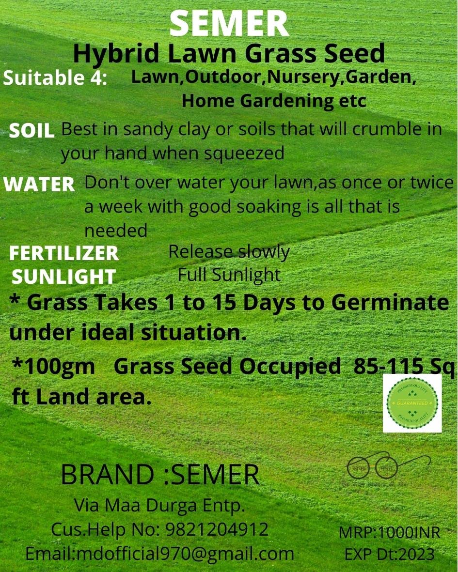 SEMER LAWN (GROUND) GRASS SEED -250 GM WITH FAN WATER SPRINKLER. (B0BX4141YB) Amazon Price History, Amazon Price Tracker