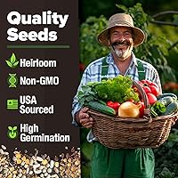 Vista 82 de HOME GROWN Más de 1000 semillas de cilantro para plantar en interiores o exteriores, hierbas tradicionales sin OMG, semillas de plantas de cilantro