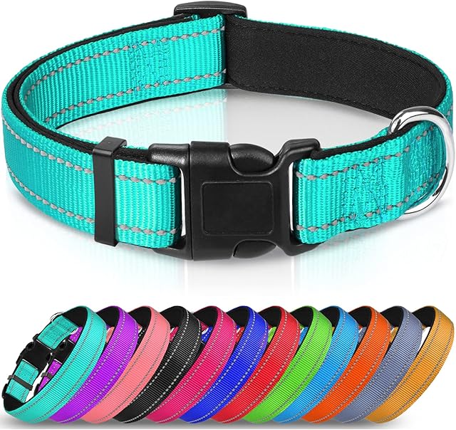 Joytale Reflective Dog Collar,Padded Breathable Soft Neoprene Nylon Pet Collar Adjustable for Medium Dogs,M,Teal