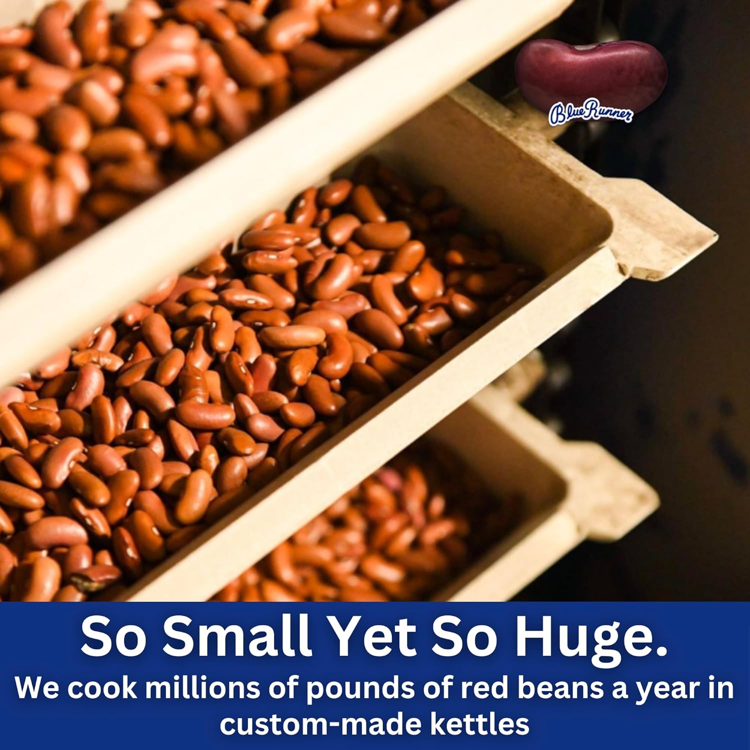 Blue Runner Creole Cream Style Red Beans 16 Oz (Pack Of 6) - New Orleans Best Authentic Red Beans - Slow Cooked to Perfection - A Southern Favorite - Easy Meal out of a Can