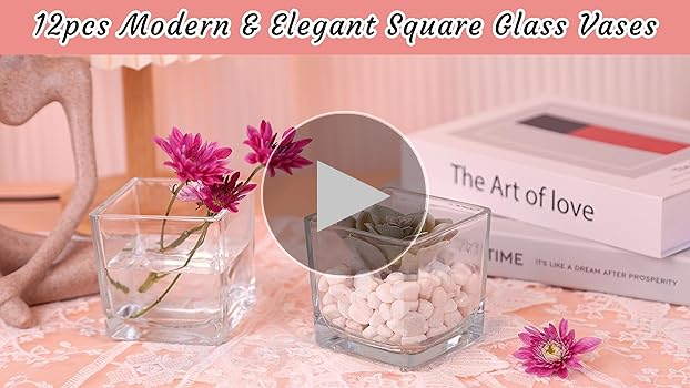 Amazon.com: CONNOO 12 Pack Square Glass Vase 3