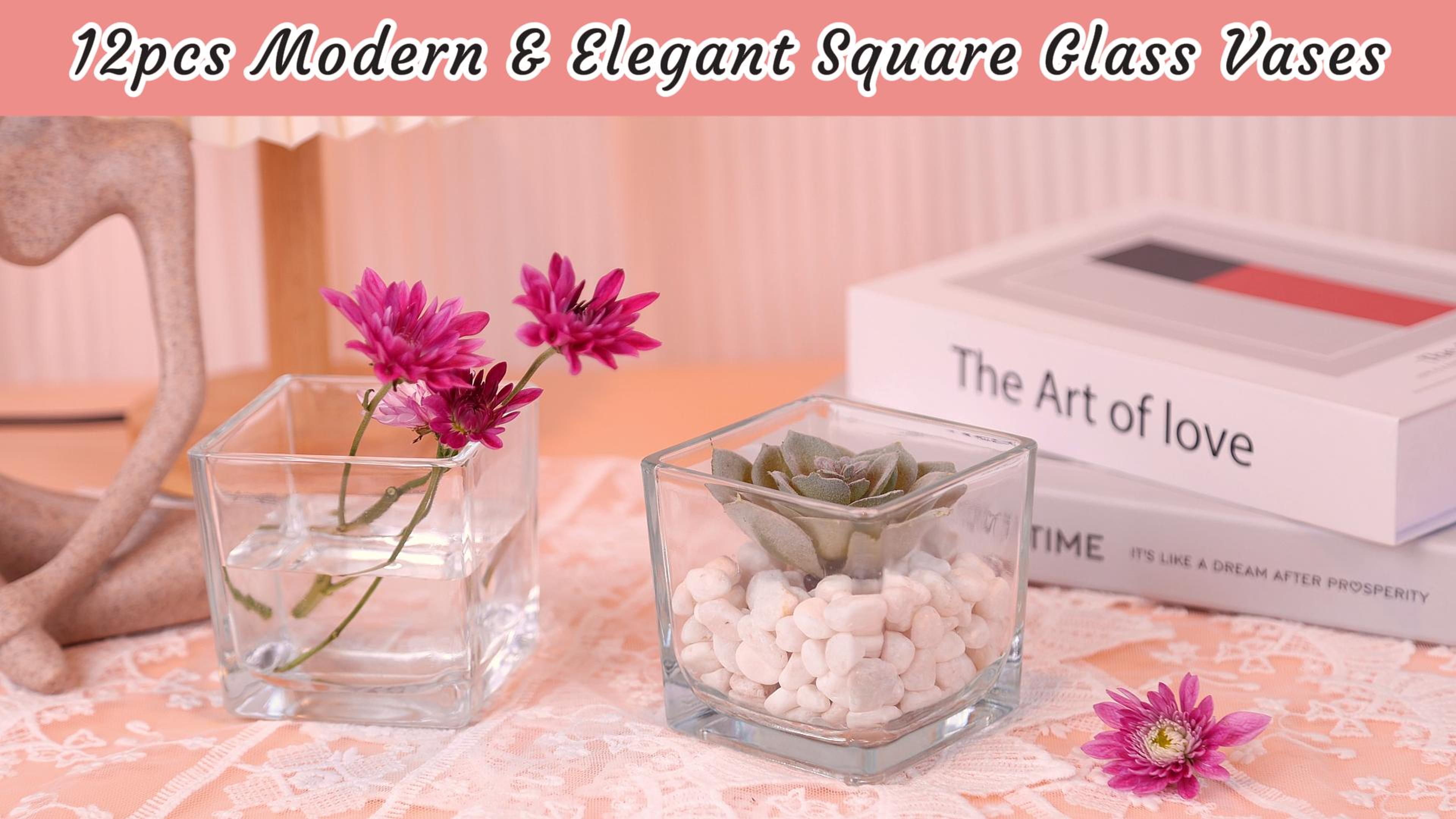 花瓶　54545 Amazon.com: CONNOO 12 Pack Square Glass Vase 3