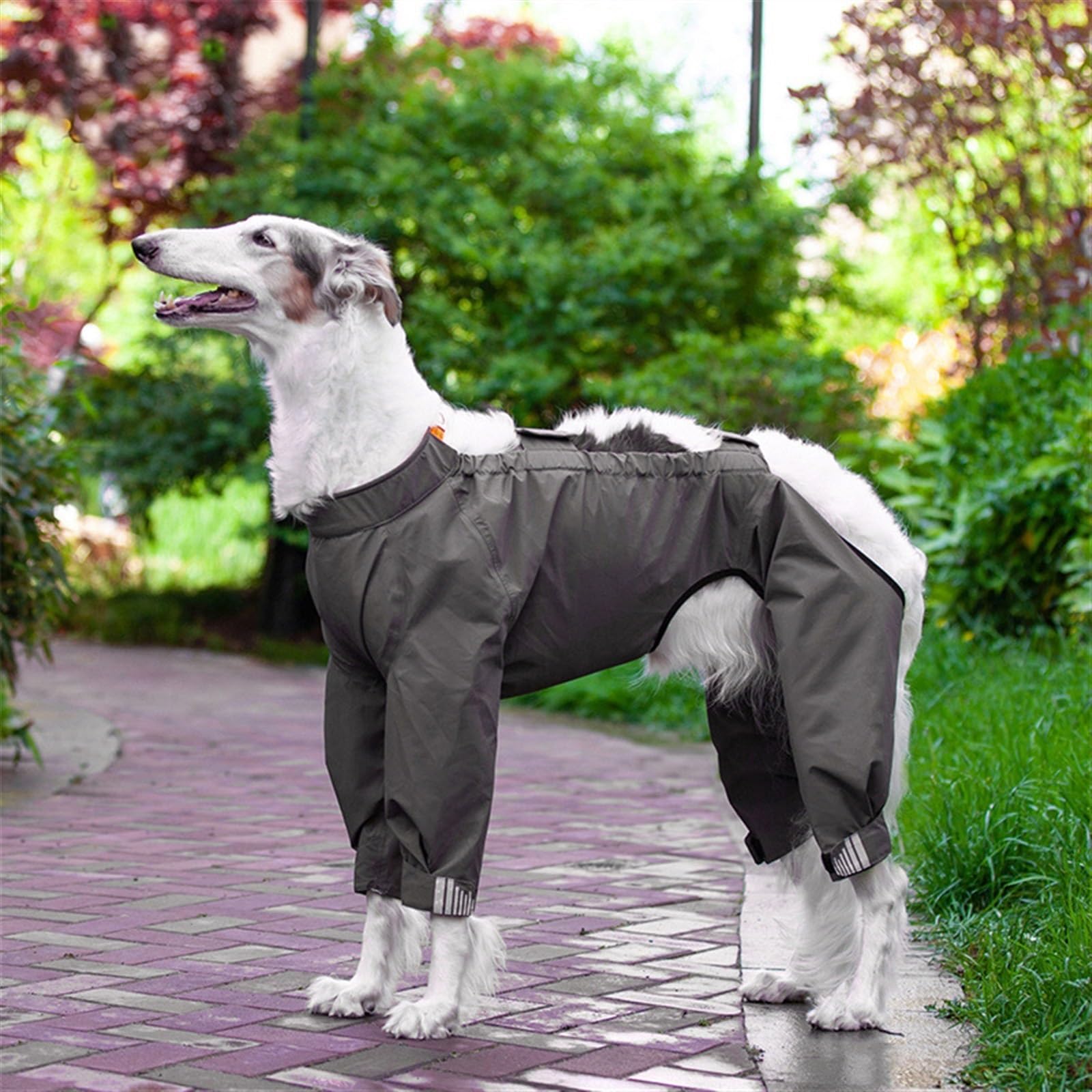 Impermeabile Cane con Cappuccio Cappotto Antipioggia Impermeabile per Cani con Cappuccio Cappotto per Cani Impermeabile per Cucciolo(Blu,XXL)