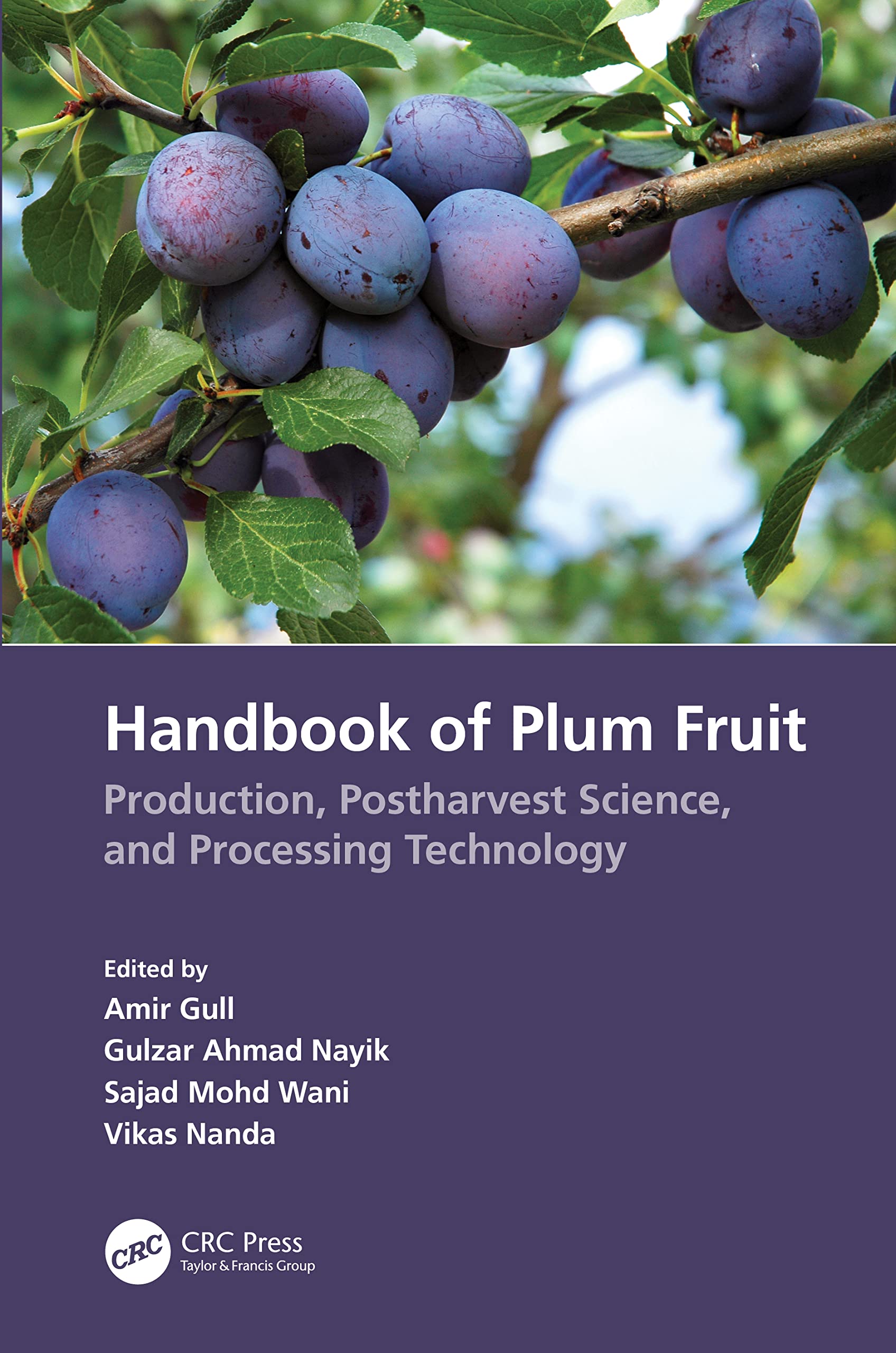 Buy Handbook of Plum Fruit: Production, Postharvest Science, and Processing Technology ā BookShops.in