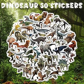 81nBiz6XLKL._AC_UF350,