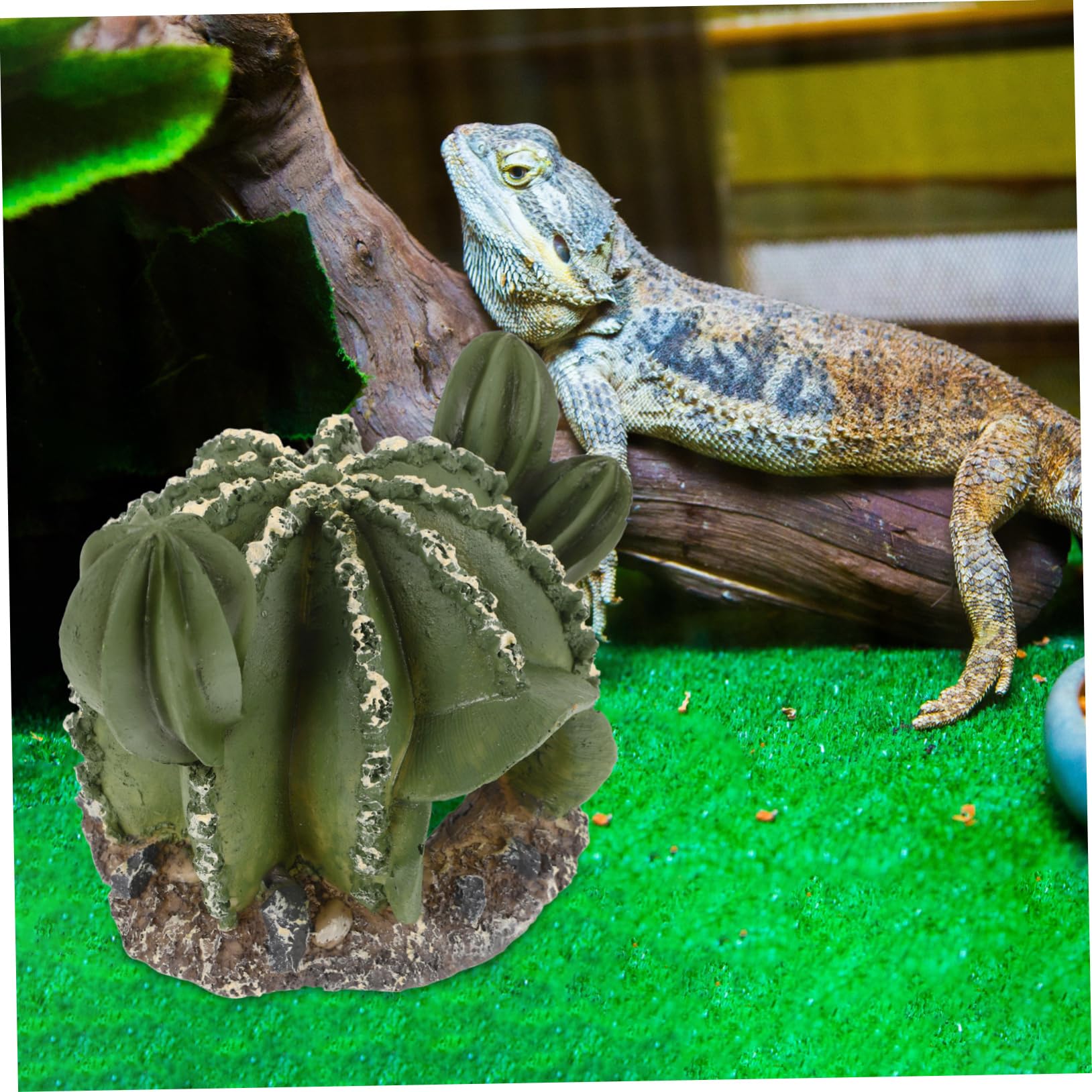 VANZACK 4piezas Cueva De Reptiles De Forma De Cactus Refugio Decorativo para y Terrarios Natural para y De Ocultación para Reptilianas