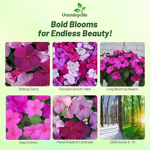 Miniatura 2 de Outsidepride 200 semillas Impatiens Xtreme Sapphire Shade Garden Flower Seed Mix para plantar