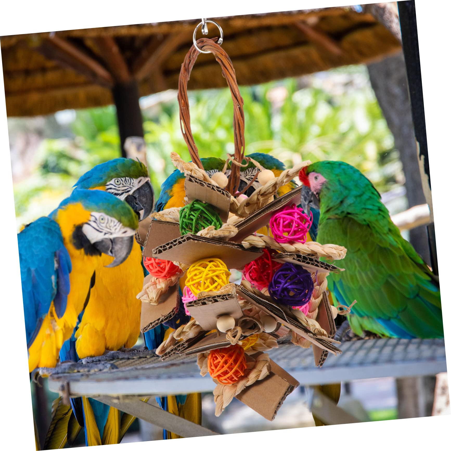 Mipcase 3pièces Jouet Suspendu Vignes pour Oiseaux Accessoire à Mâcher pour Perroquets Et Oiseaux