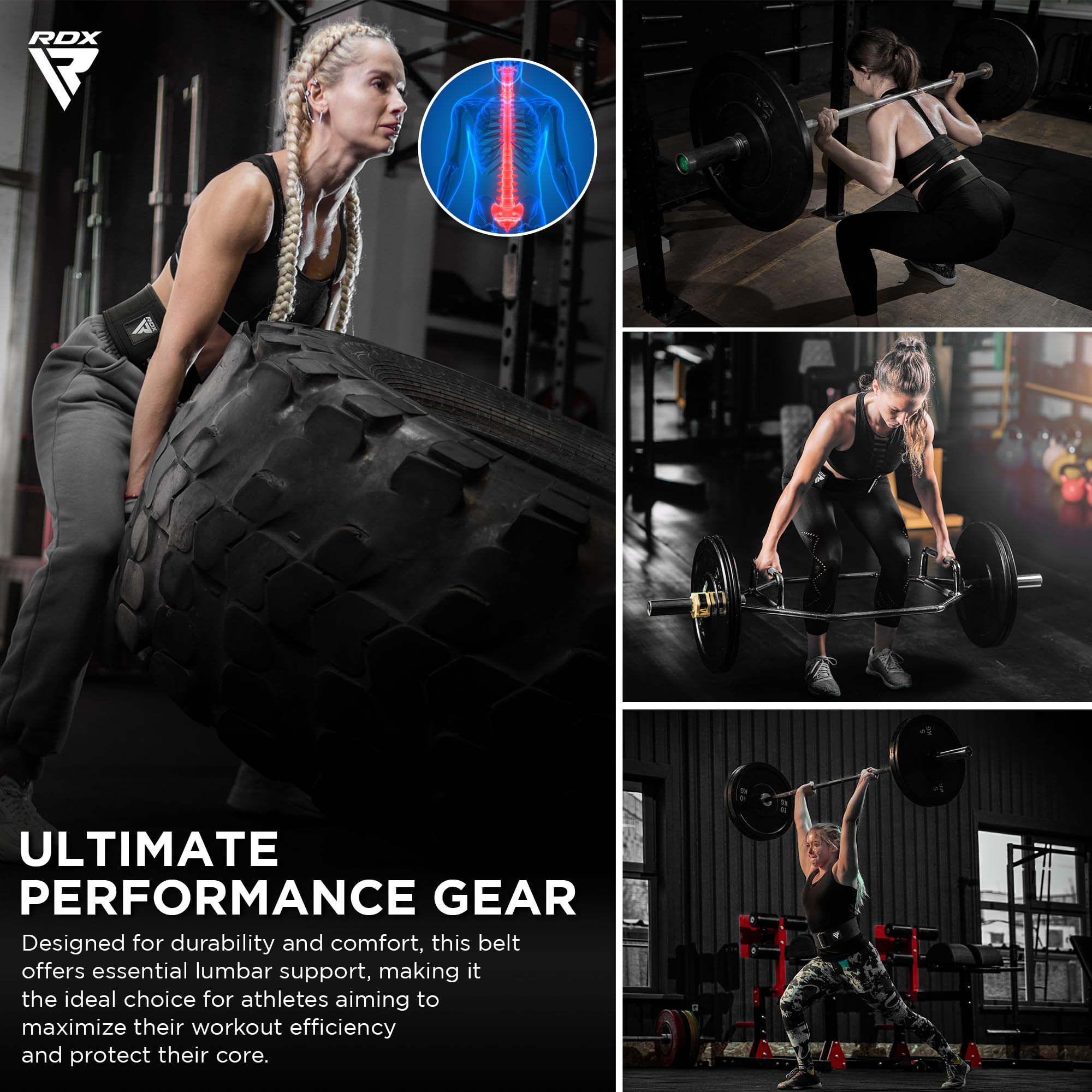 RDX Ceinture d'haltérophilie pour femmes 4 "Support lombaire dorsal réglable Bodybuilding, Powerlifting Entraînement de force fonctionnelle Exercice de base Fitness Workout Squats Deadlifts