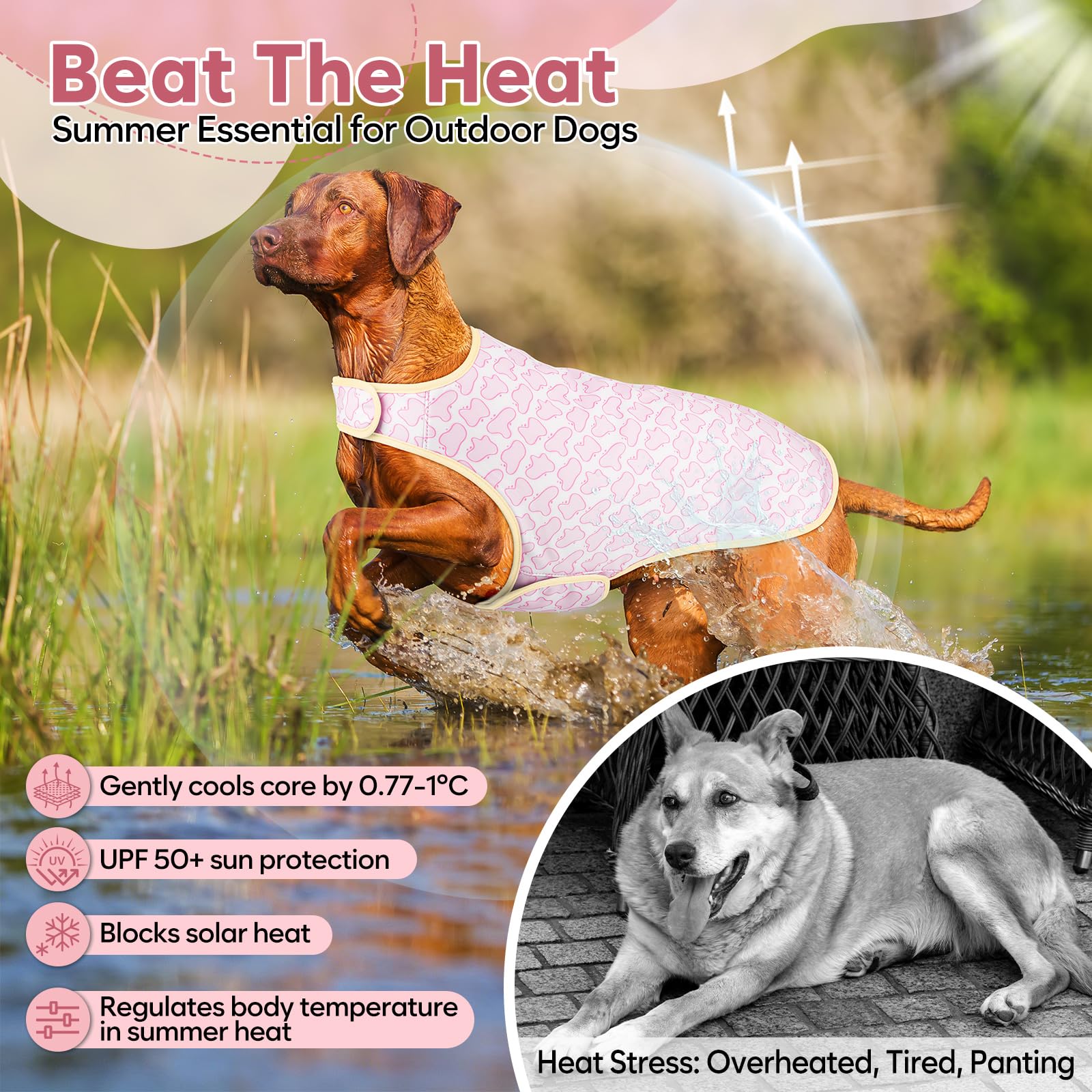 Gilet per cani rinfrescante evaporativo, morbido, regolabile, con protezione solare UV, essenziale per l'estate, mantiene i cani freschi per la caccia e all'aperto, rosa, L