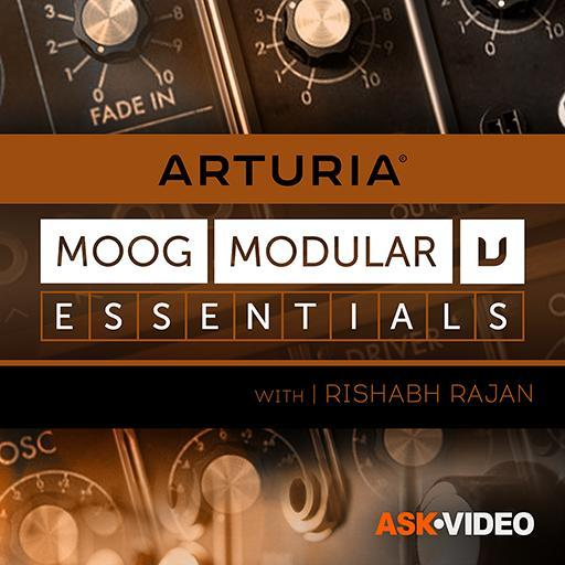 Essentials Course For Moog Modular V
