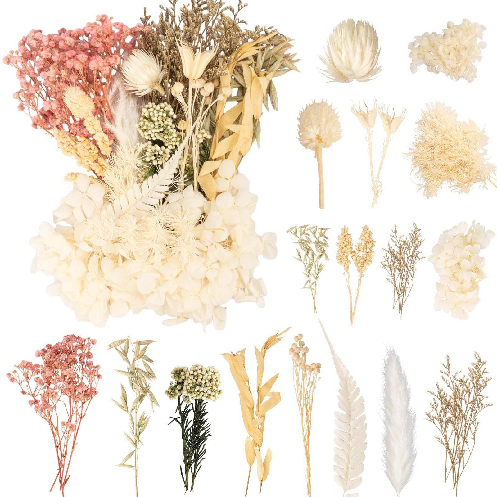 LAUMOE Trockenblumen Klein, Getrocknete Blumen, Trockenblumen zum Basteln Weiß Mehrblütige Version für Kunst Basteln Dekoration