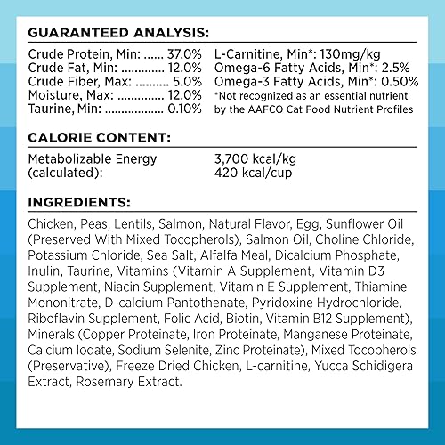 Miniatura 7 de BIXBI Rawbble Dry Food Receta de salmón de pollo para gatos de interior, 3 libras