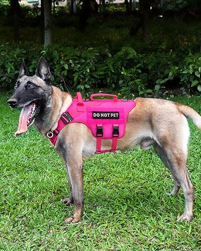 Miniatura 6 de PETNANNY Arnés táctico para perros, chaleco de servicio para perros de razas grandes, panel de gancho y bucle para parches para perros de servicio,
