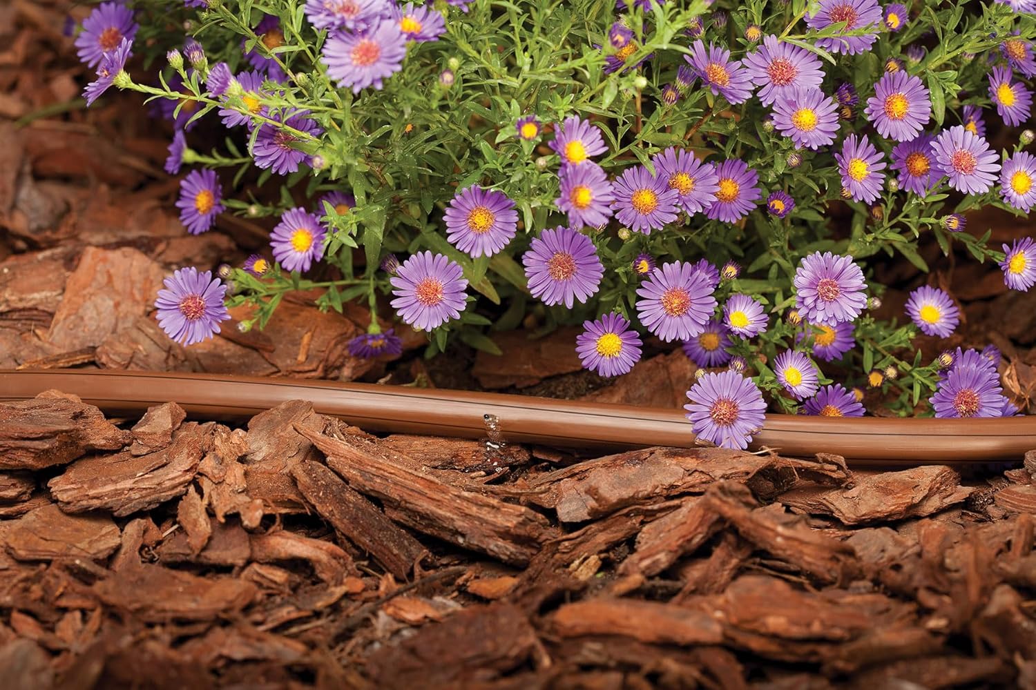 Rain Bird ET63-100S Drip Irrigation Pressure Compensating 1/2" (0.634" OD) Emitter Tubing, 18" Emitter Spacing, 100' Roll, Brown