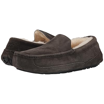 UGG Ascot Men