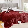 greenoak Heated Blanket Electric King Size 100X90 Dual Control, Heating Blanket 10 Levels 12468 Hours Auto-Off Overheat Protection, Soft Sherpa Warm, ETL Certified Red