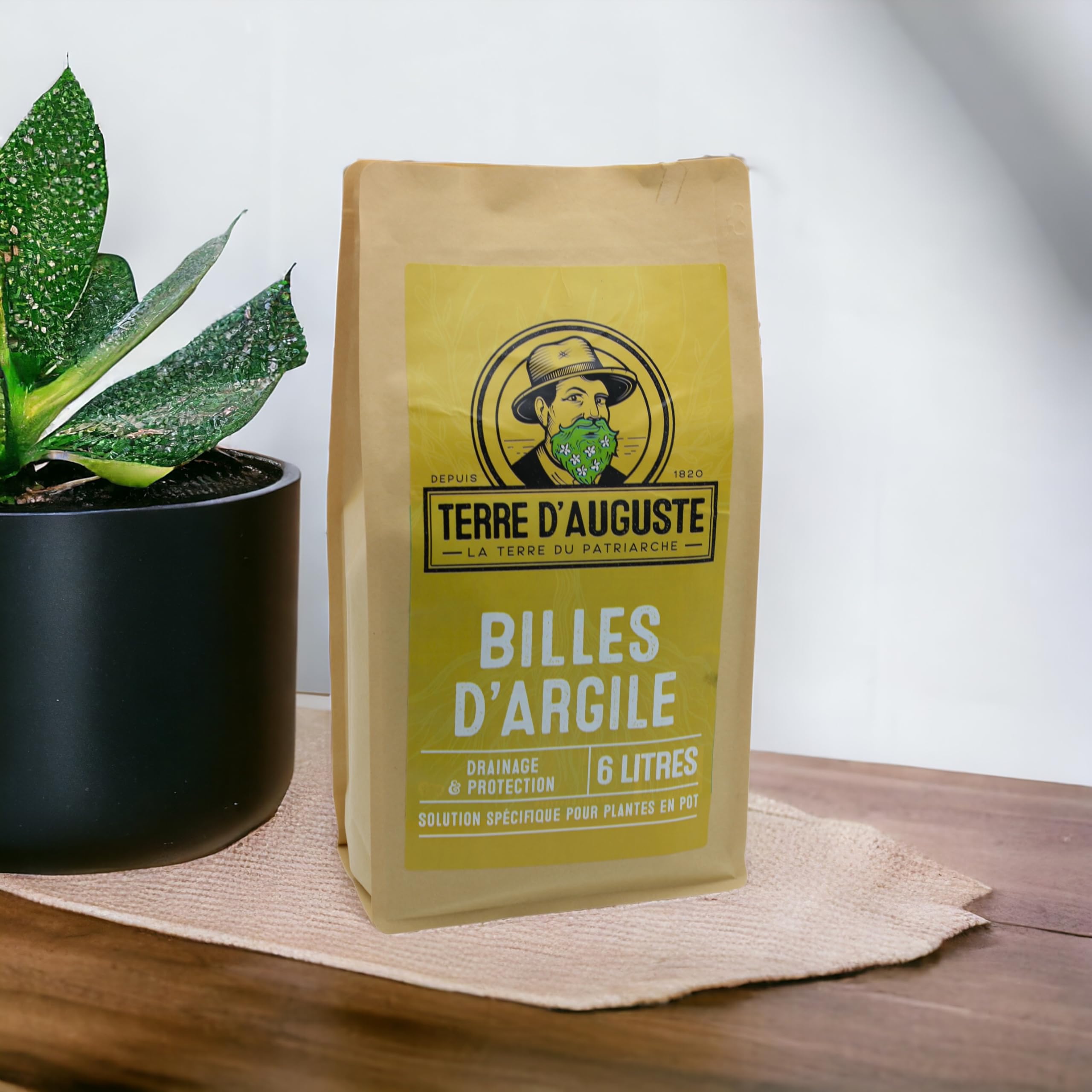Terre d'Auguste - Billes d'argile Premium 6L - Sac Refermable - Idéal pour Plantes Vertes, Orchidées, Bonsaïs, Cactus et Plantes d'intérieur