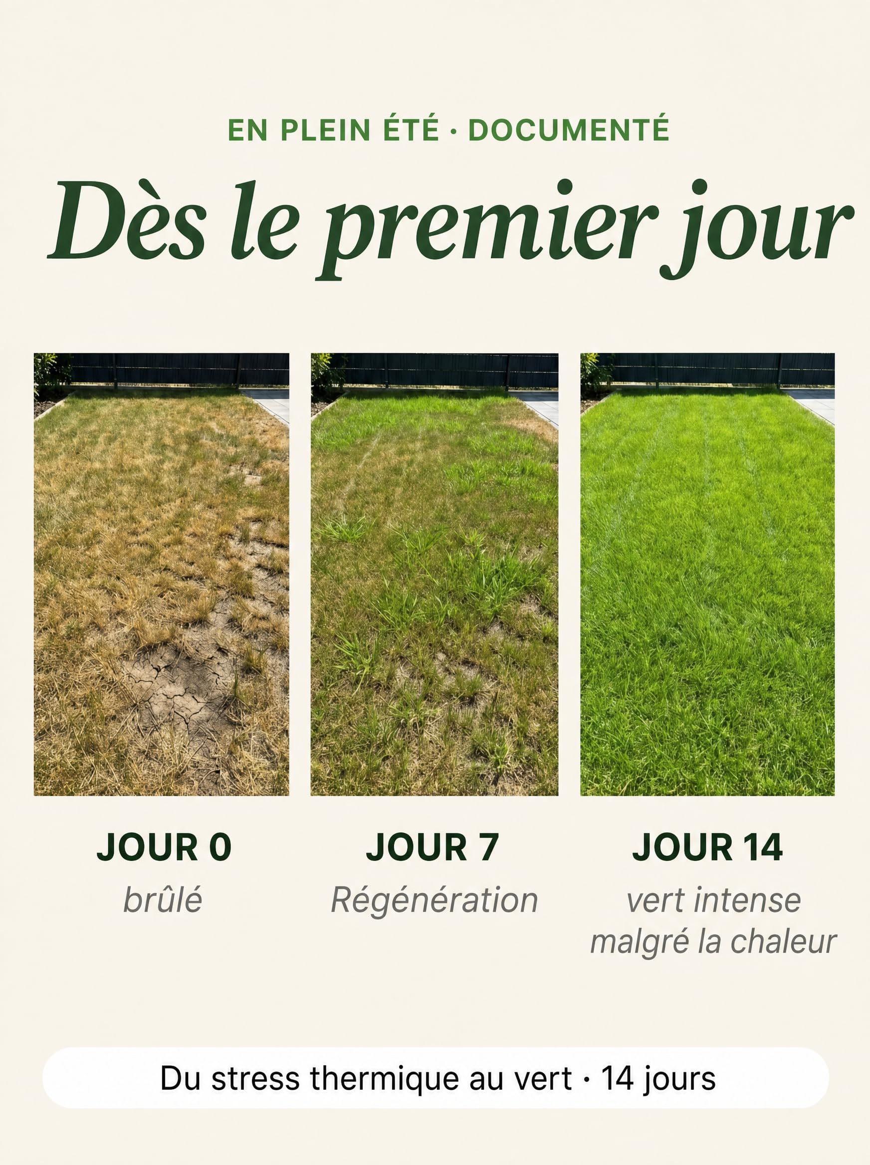 Engrais Gazon Été 5kg - Engrais Riche en Azote Anti Mousse Résistant Sécheresse Granulés Sans Poussière Compatible Épandeur