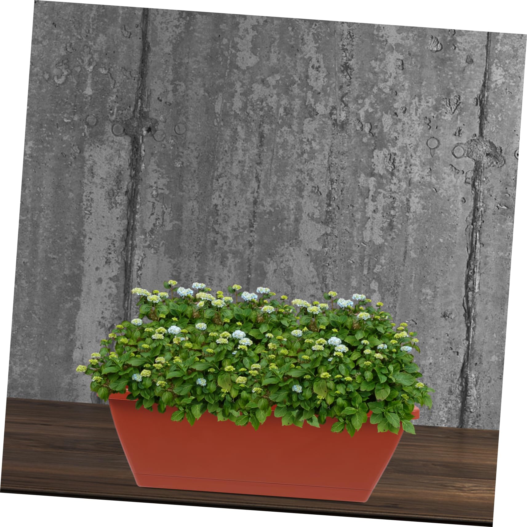 HANABASS 6pezzi Vasi in Plastica Rettangolari Rossi Per Piante Grandi Bonsai e Orto Da Interno Ed Esterno Profondi Traspiranti e Resistenti Per Balcone e Ufficio