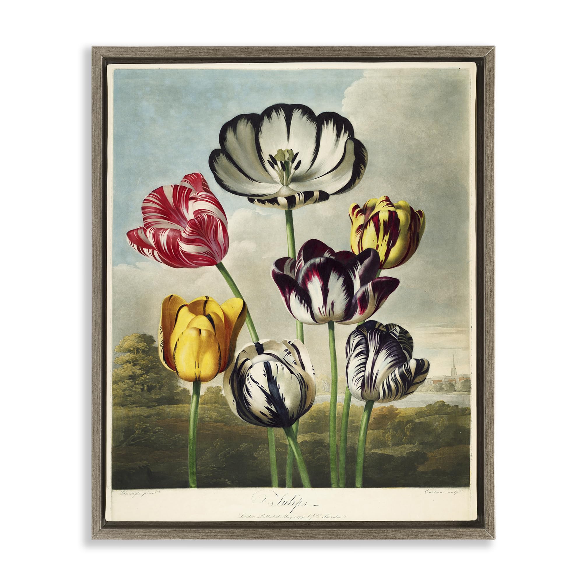 Stupell Industries Montalcino Elm (Textured) 'Tulips From The Temple', Floating Frame Canvas Art, Brown, 25 X 31 Inches, Easy To Hang And Sturdy, Made In Usa, By Print Collection