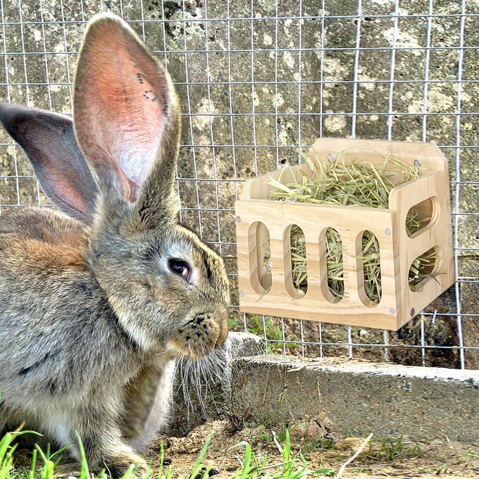 Distributeur de Foin | Râtelier à Foin en Bois pour cochons d'Inde - Distributeur de Nourriture pour Lapin, Lapin et cobaye, Distributeur de Nourriture pour Petits Animaux