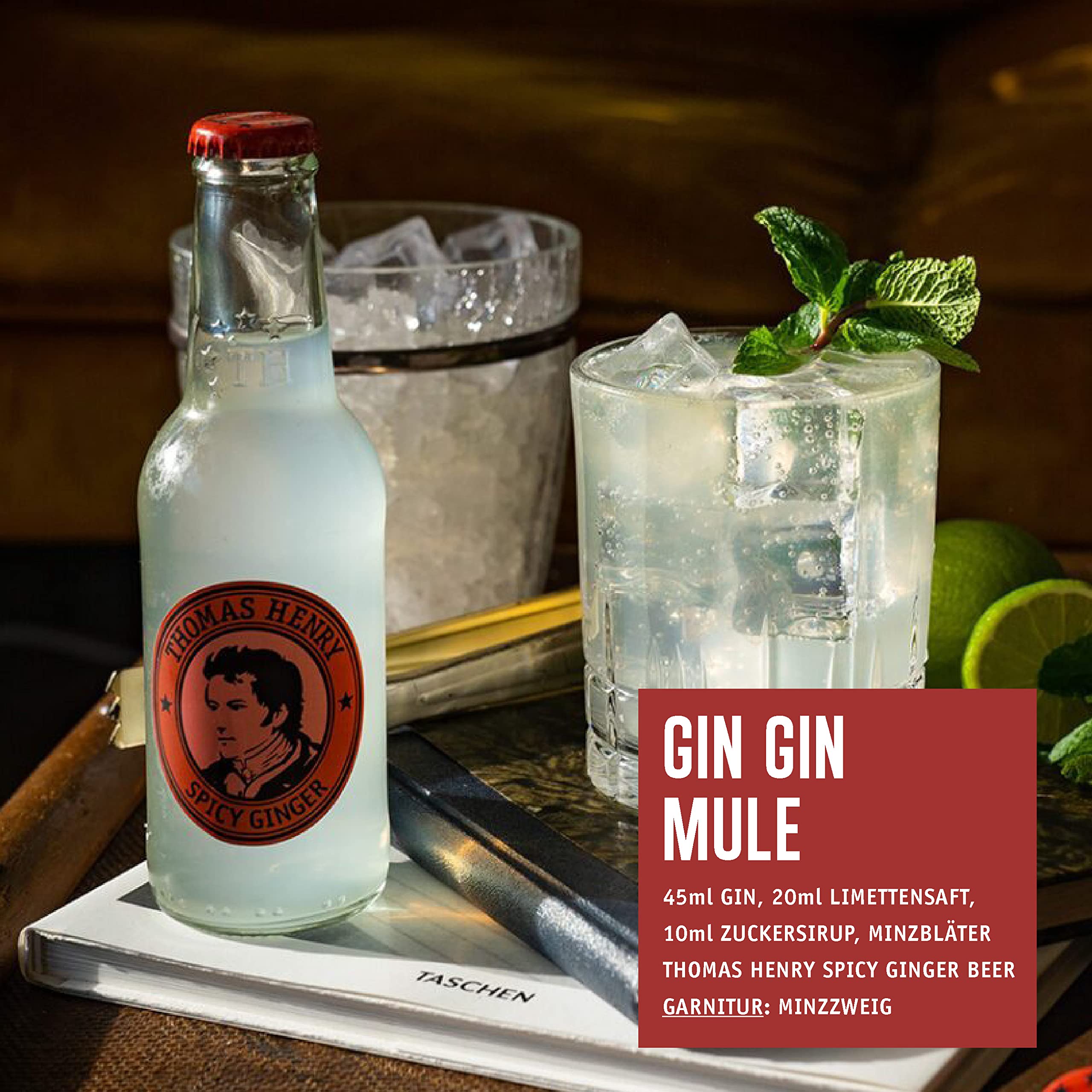 Thomas Henry Spicy Ginger Beer 6er Set 0,2 l Glas Ingwerlimonade scharf Moscow Mule