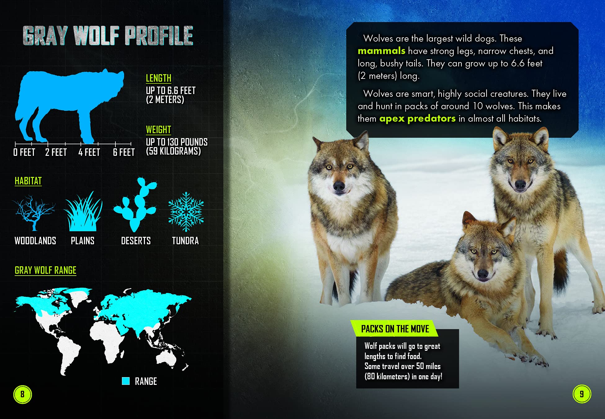 Wolf Pack vs. Moose