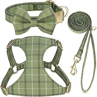 Beirui Lindo arnés para perro pequeño con corbata de lazo, arnés suave y ajustable a cuadros para cachorros para perros de tamaño pequeño, gatos, paseos, fiestas y sesiones de fotos (verde, S: pecho