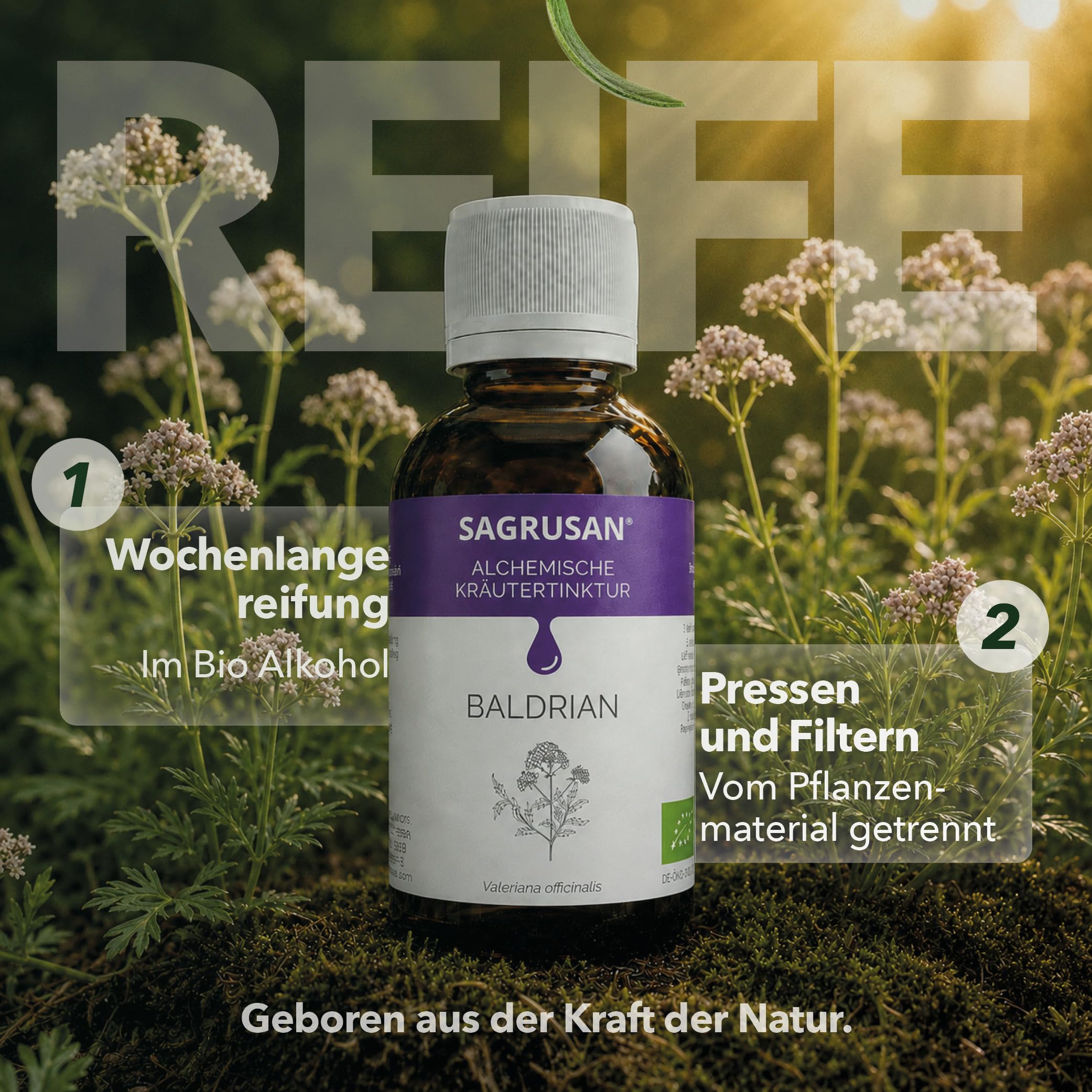 Baldrian hochdosiert Tropfen Bio 100 ml Baldrian Tinktur vegan mit Valeriana officinalis Extrakt, Kräuterextrakt aus Österreich, ohne Konservierungsstoffe mit Alpenquellwasser | 10 Jahre MHD