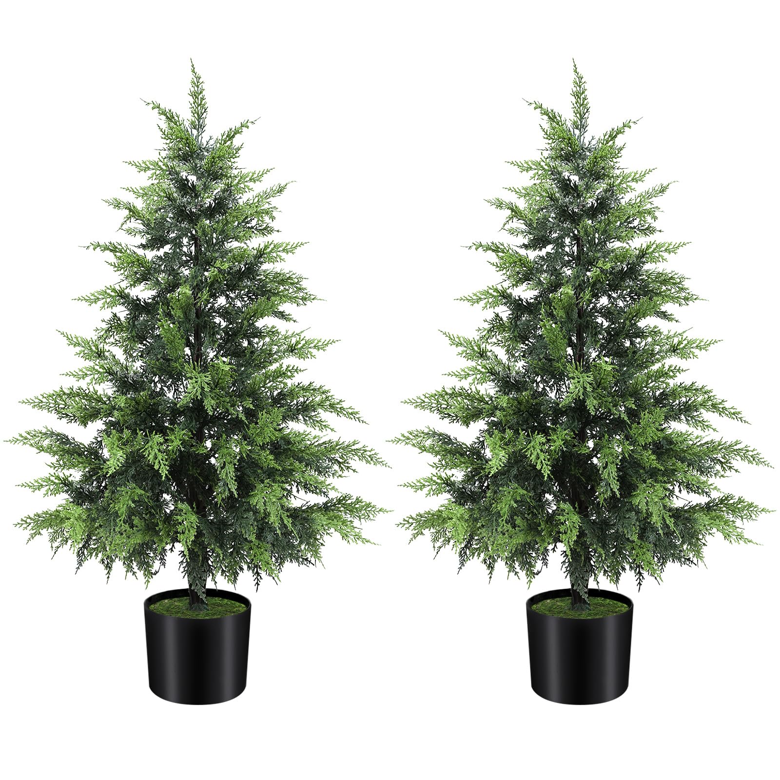 ENVEN 3FT Cedar 2-Pack