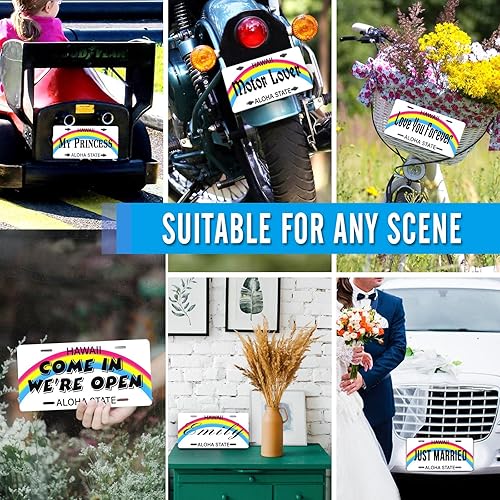 Miniatura 4 de Matrícula personalizable con texto de los 50 Estados de Estados Unidos para la parte delantera del automóvil, placas personalizadas de Texas para