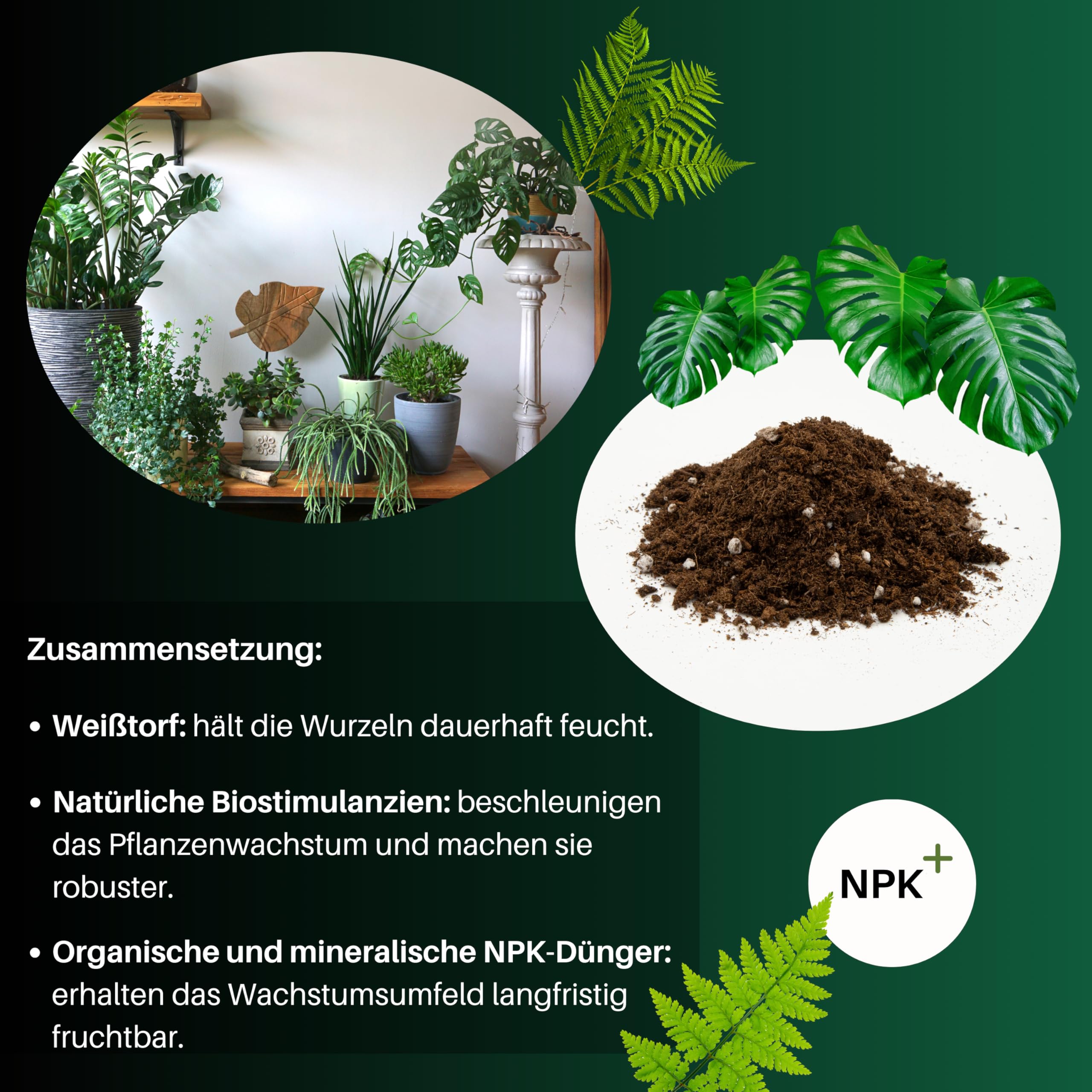 GebEarth | Blumenerde fr Grnpflanzen | Langfristige Nhrstoffe und  gesundes Wachstum | Erde fr Monstera, Efeu, Dracaena und alle Arten von  Grnpflanzen3L : Amazon.de: Garten
