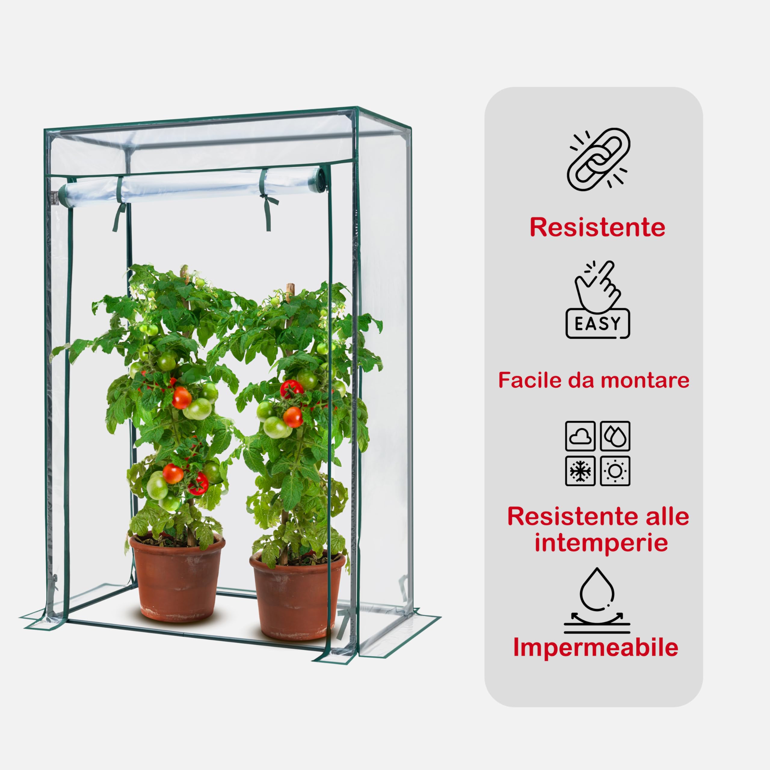 KANWOD Serra da Giardino con Porta Arrotolabile, Invernale, Stabile e Facile da Montare, Pellicola Trasparente 140 g/m², Protezione delle Piante, Verdure, Fiori, Serra per Orto, Balcone e Giardino