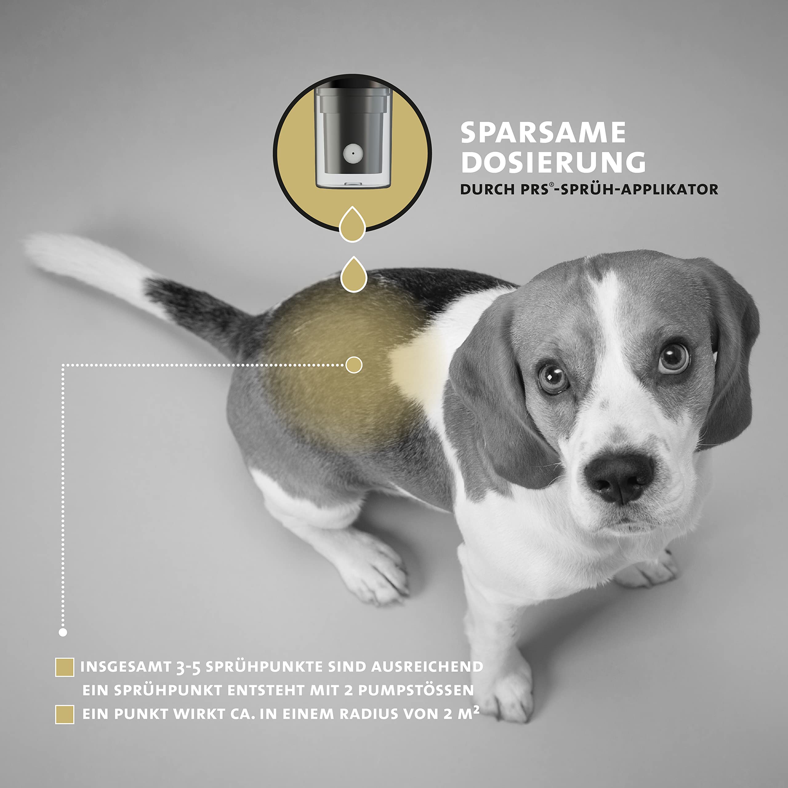Peticare Spray Protecteur pour Chiens | Protection Contre simulies & moucherons Noirs piqueurs | Action Longue durée PRS® | petDog Protect 2801