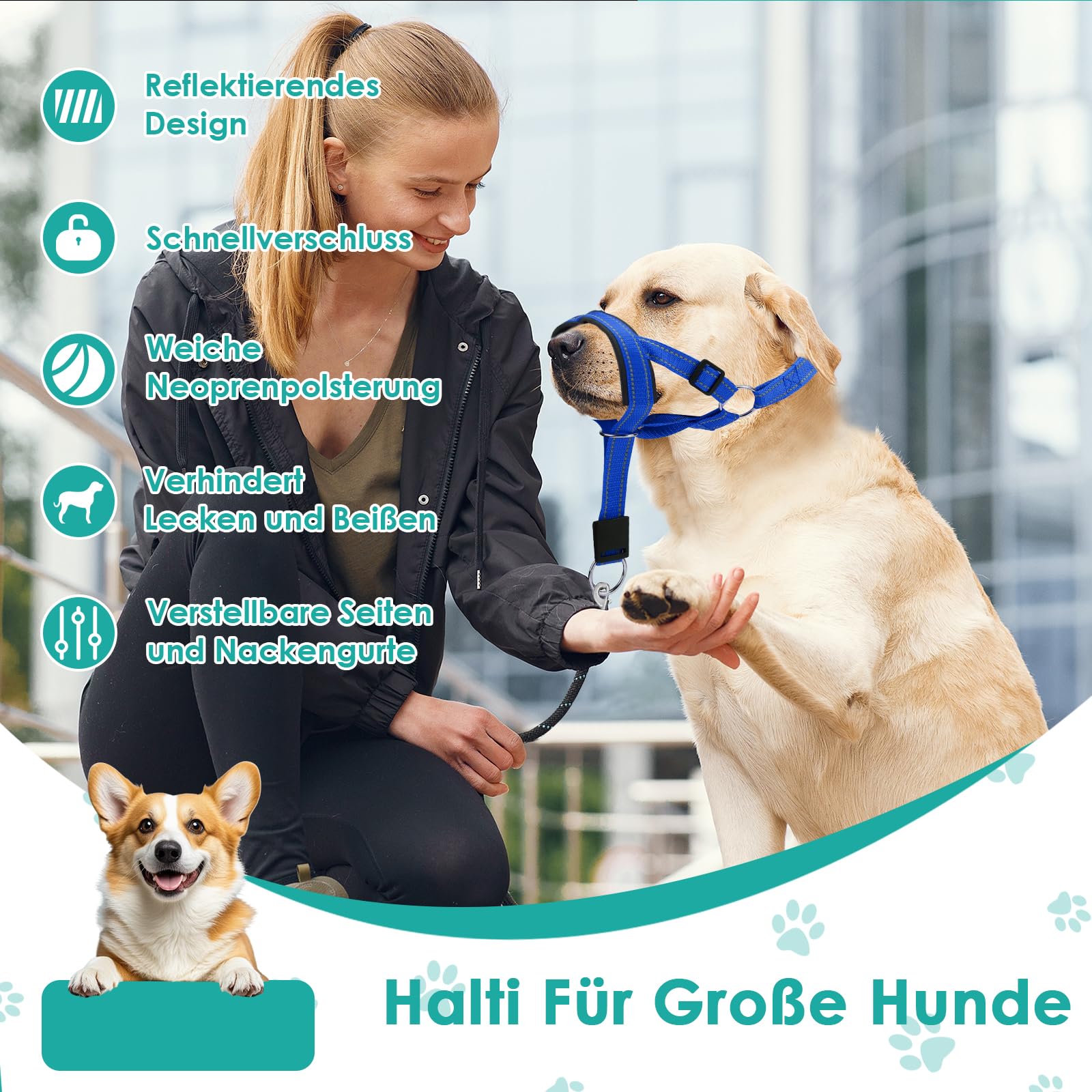 Halti pour chien grand, Harnais pour chien avec tissu rembourré, Harnais de tête Halti réglable anti-traction, Collier anti-traction doux pour chien grand (Bleu, L (Museau : 11,6-14,8 pouces))