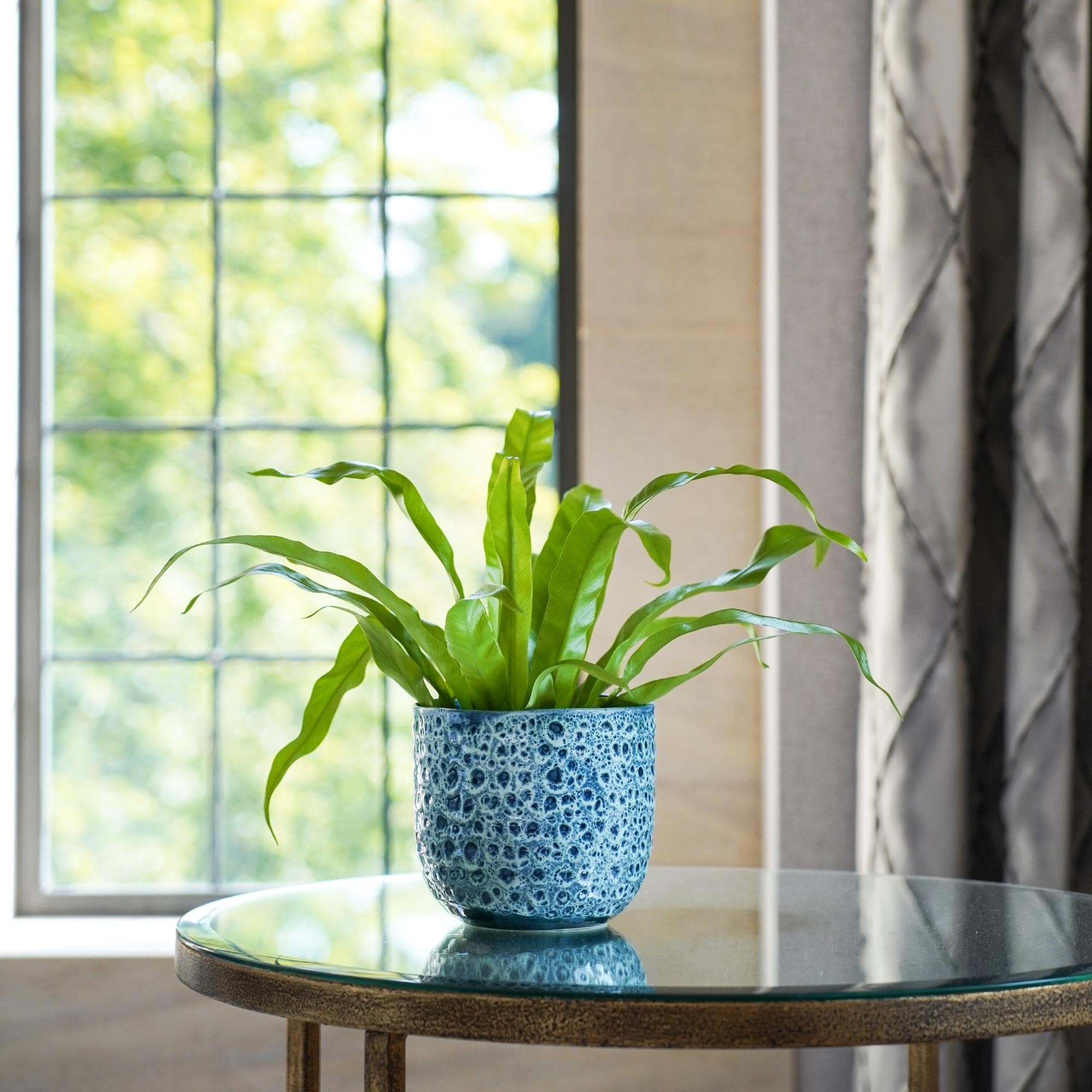 Ivyline Textured Glaze Plant Pot 18cm Dia | Contemporary Glazed Plant Pot with Textured Crackle Design| Indoor Planter Plant Pot Flower Pot for Cacti Succulents and Small House Plants (Sapphire)