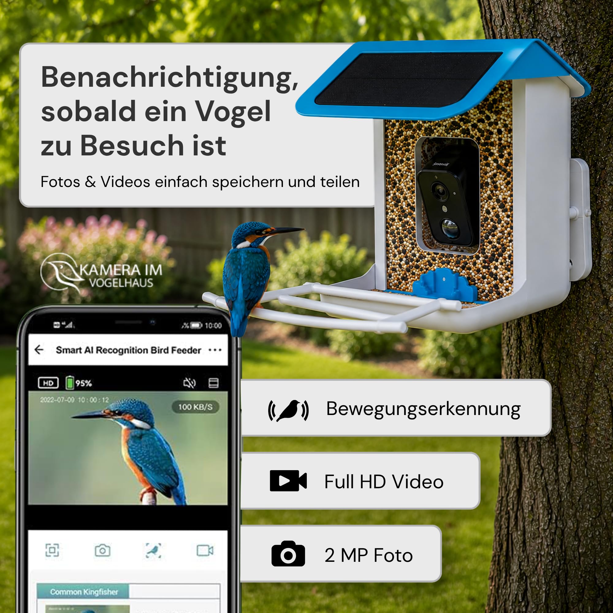 Smarter Vogelfutterspender mit WLAN-Kamera und Solar | Vogelhaus mit Kamera, Vogelfutterstation, Futterstationen für Wildvögel