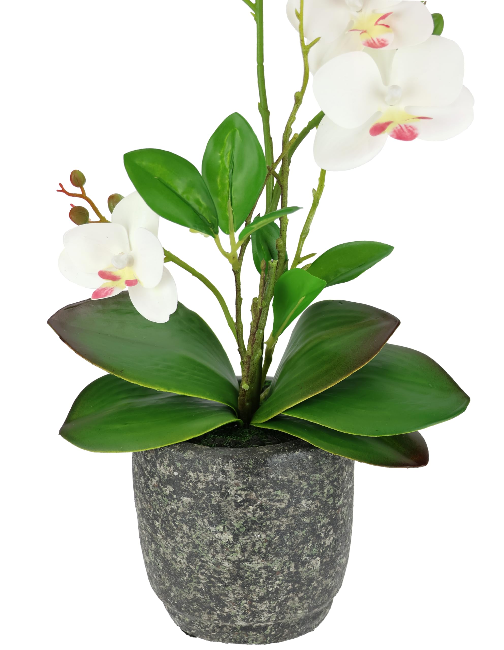 Sztuczny kwiat, motyl, orchidea z liśćmi i korzeniami powietrznymi w doniczce, z ceramiki, sztuczny orchidea, phalaenopsis z doniczką, sztuczna roślina, dekoracja weselna, jedwabny kwiat, prawdziwe w