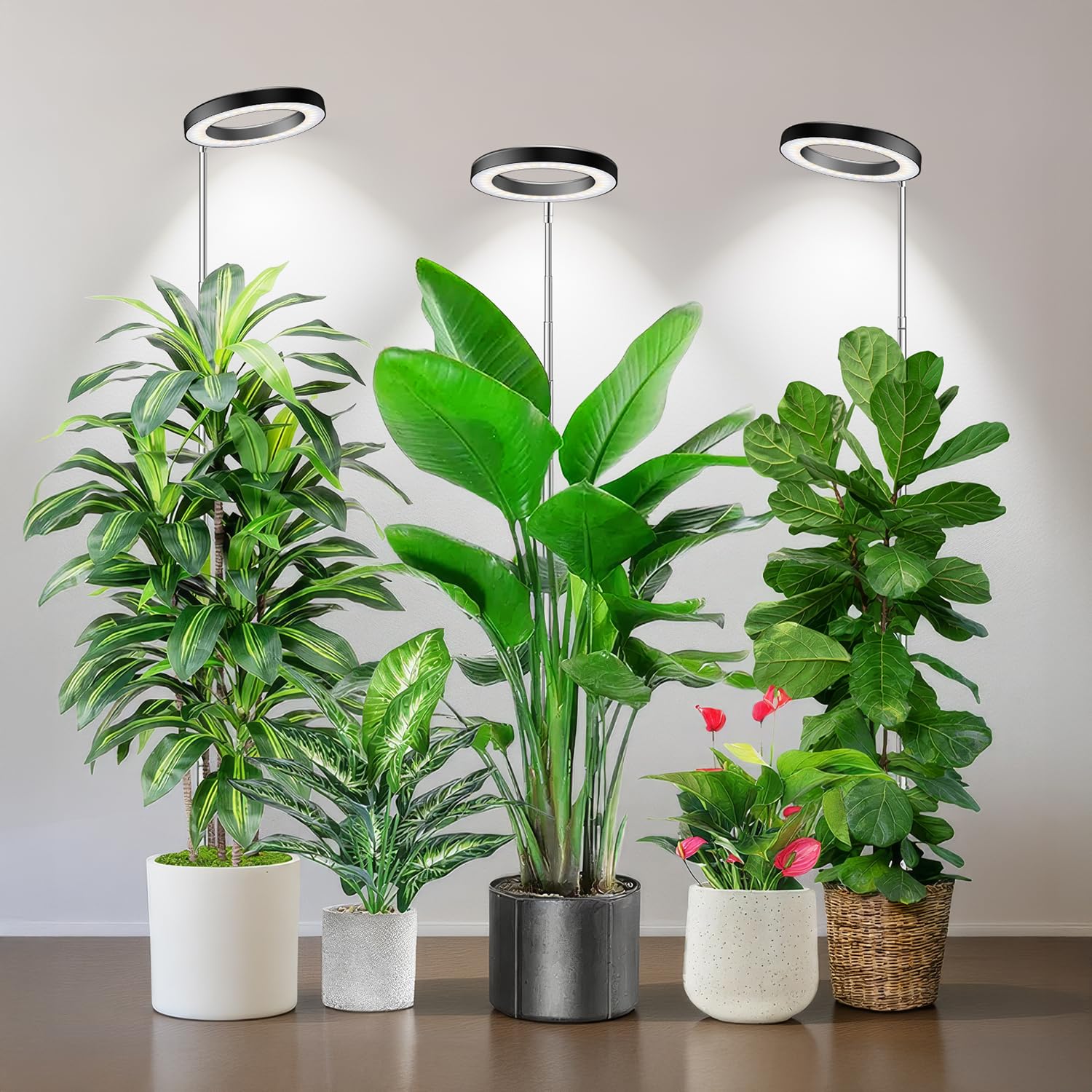 Kullsinss Black Halo Grow Light 3 Pack