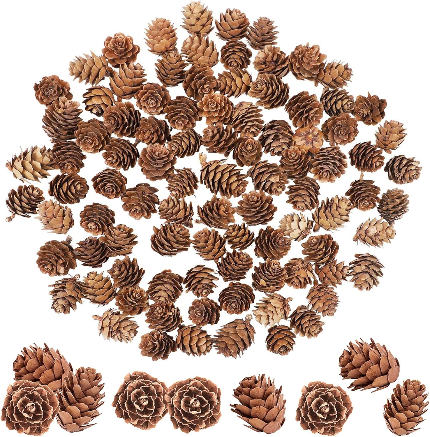 Christmas Pine Cones, POTWPOT 100 Pieces Natural Pine Cones Mini Pine