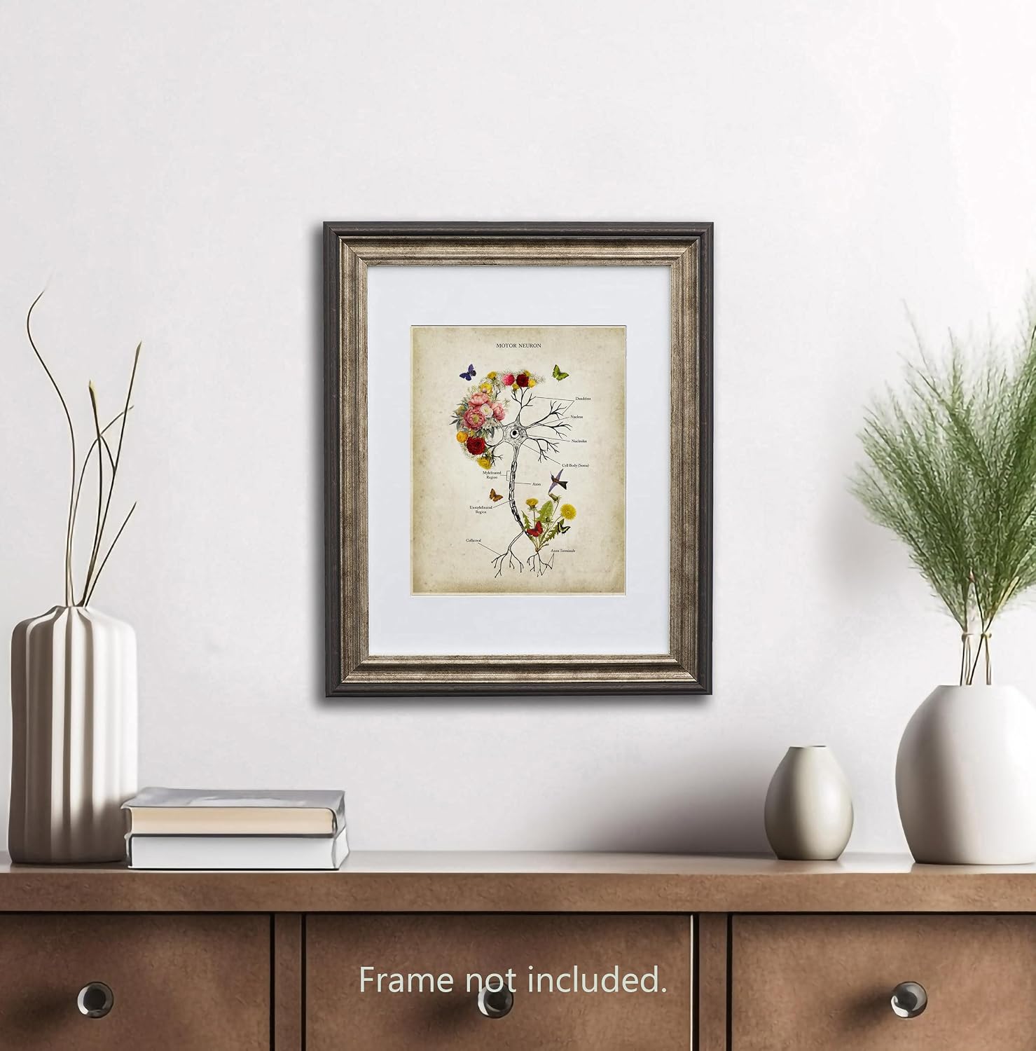 Gnosis Picture Archive Neuron Anatomy with Flowers Butterflies Hummingbird Set of 2 Unframed Art Prints Neuroscience Neurology Psychology Mindfulness Meditation Wall Decor, Beige
